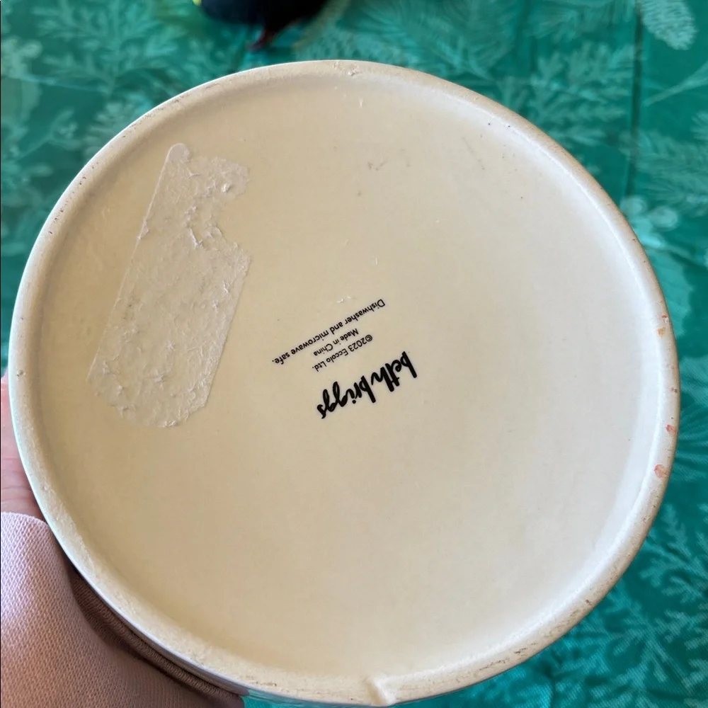 NEW Beth Briggs ceramic dog bowl!